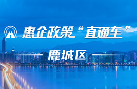 惠企政策直通車(chē)文成縣