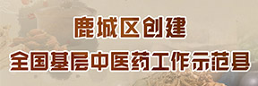鹿城區創建全國基層中醫藥工作示范縣