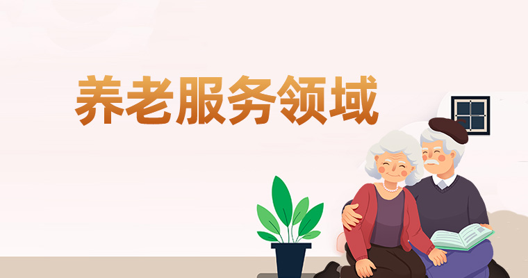 養(yǎng)老服務領域